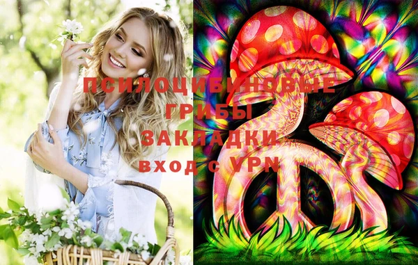 гашик Аркадак