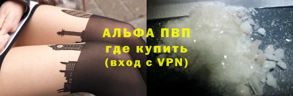 гашик Аркадак