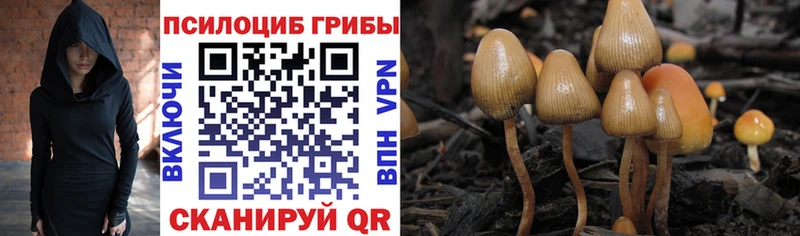 Псилоцибиновые грибы Psilocybine cubensis  купить закладку  Сосенский 